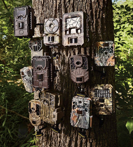How Trail Cameras Are Revolutionizing Rural Property Management 📝 Meta Description: