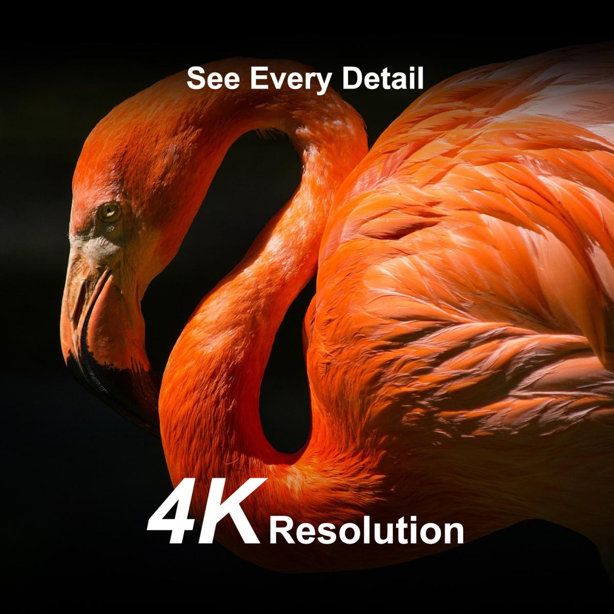 Caméra de surveillance solaire ScoutVision Pro 4K avec vision nocturne