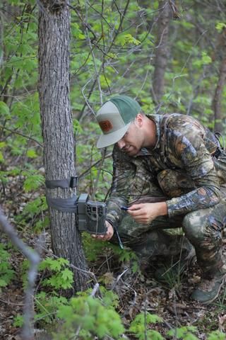 How Trail Cameras Are Empowering Environmental Research and Conservation Projects