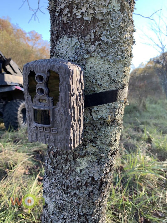 How Trail Cameras Help Monitor Endangered Species in Remote Habitats
