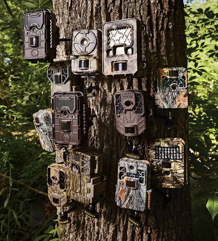 How Trail Cameras Are Revolutionizing Rural Property Management  📝 Meta Description: