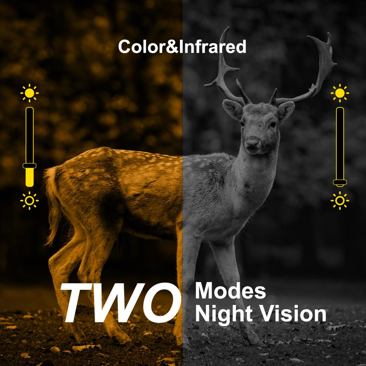 Caméra de surveillance solaire ScoutVision Pro 4K avec vision nocturne